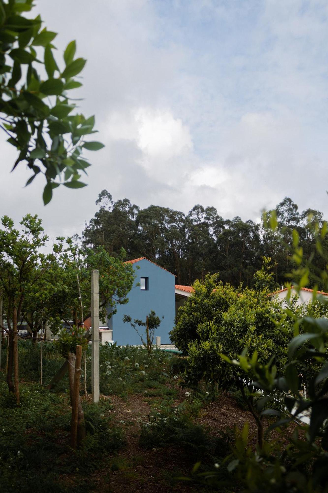 Casa Da Milheira - Agroturismo Oliveira de Azemeis Exterior foto
